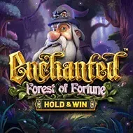 Enchanted Forest Of Fortune screenshot
