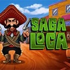 Bingo Saga Loca screenshot